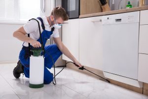 The Importance of Professional Pest Control Services for Businesses